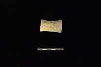 藏品(陶罐)的圖片